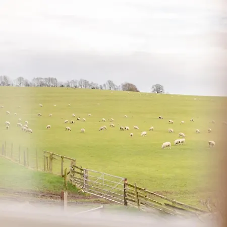 2 Bed In Oc-t34776 別荘 *