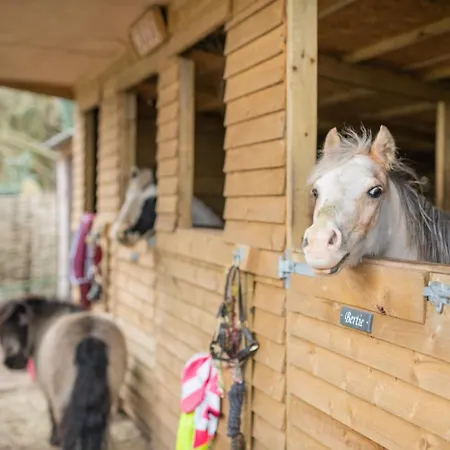 2 Bed In Oc-t34776 別荘 *