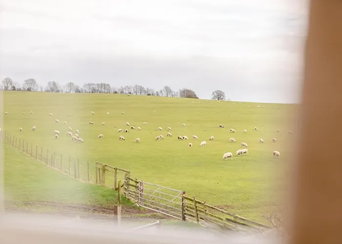 2 Bed In Oc-t34776 別荘 *