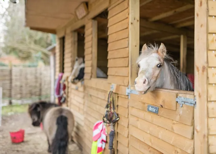 2 Bed In Oc-t34776 別荘 *